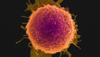 جزيئات نانو لعلاج الخلايا السرطانية