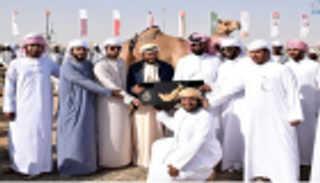 شروط المسابقة الشعرية لمهرجان سلطان بن زايد التراثي