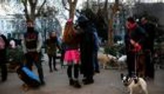 بالصور.. سباق للكلاب في مدريد يروج لتبني الحيوانات الأليفة