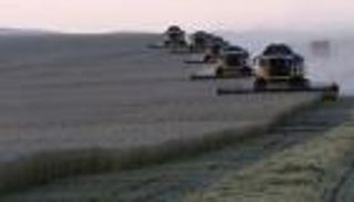 روسيا تبحث "حظرا مؤقتا" على بعض وارداتها الزراعية من مصر