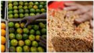 "حرب القمح والبرتقال" بين مصر وروسيا