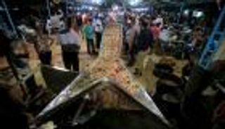 بالصور.. بلدة لبنانية تسجل غينيس أكبر طبق "سمكة حرَّة"