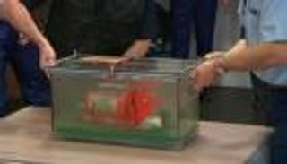 "تي.إن.تي" تثير خلافا بين فرنسا ومصر حول الطائرة المنكوبة