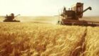 بالمستندات.. لماذا تراجعت مصر عن حظر القمح الروسي؟ 