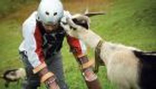 بالفيديو.. رجل الماعز وسراويل الفئران تفوز بـ"نوبل للحمقى"