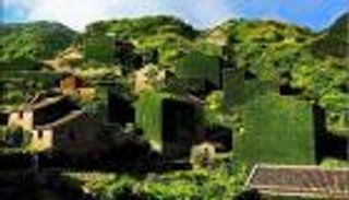 بالصور.. قرية صيد مهجورة في الصين غطتها أوراق الشجر