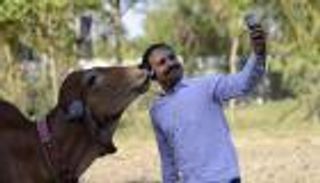 مفاجأة.. "سيلفي" يوميا يزيد سعادتك