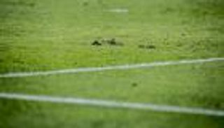 "خُضرة" ملاعب إسبانيا تحدد عائدات الدوري التليفزيونية  