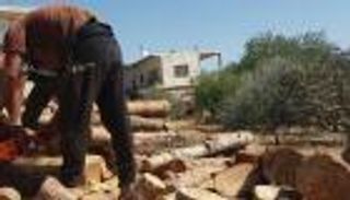 سوريون يستعدون للشتاء بـ"حطب أغلى من المازوت"