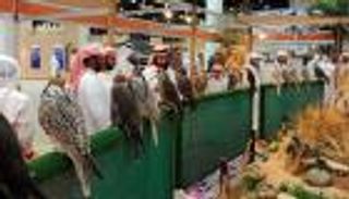 إنفوجراف.. المعرض الدولي للصيد والفروسية بأبوظبي