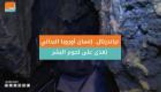 إنسان أوروبا البدائي تغذّى على لحوم البشر