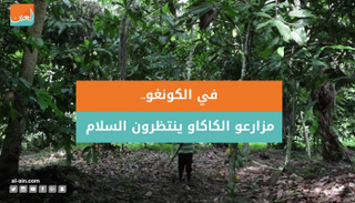 في الكونغو.. مزارعو الكاكاو ينتظرون السلام
