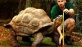 هدايا للحيوانات في لندن.. تعرف على السبب