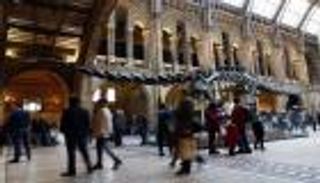 بعد 40 عاماً على عرضه.. متحف لندن يودع الديناصور ديبي