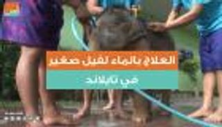 العلاج بالماء لفيل صغير في تايلاند