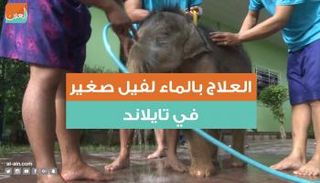 علاج ثوري بالماء لمساعدة فيل صغير