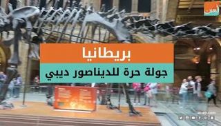 جولة حرة للديناصور ديبي