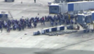 بالصور.. إطلاق نار بمطار في فلوريدا.. 5 قتلى و8 مصابين