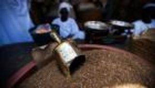 هيئة علماء السودان تحرم استخدام التبغ