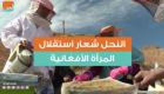 النحل شعار استقلال المرأة الأفغانية