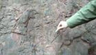 بالصور.. آثار لأقدام ديناصورات منذ 100 مليون سنة 