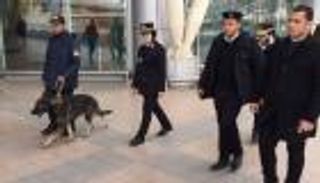 بالصور.. فرق تفتيش نسائية وكلاب لأول مرة بمطار القاهرة