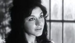 الفنانة شويكار