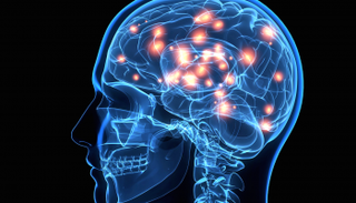 وظائف المخ تتأثر بتعرض الأحبة للخطر