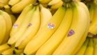 "مرض بنما" يضرب الموز في 3 دول إفريقية