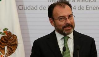 وزير الخارجية المكسيكي الجديد لويس فيديجاراي