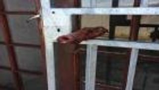 تدنيس مسجدين بـ"رأس خنزير" في جنوب إفريقيا