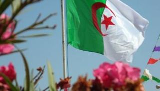 علم الجزائر
