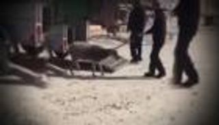 بالفيديو.. قوات الاحتلال تعتقل نعجة شرقي القدس المحتلة