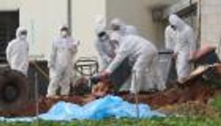 إعدام 21 ألف ديك رومي في ألمانيا