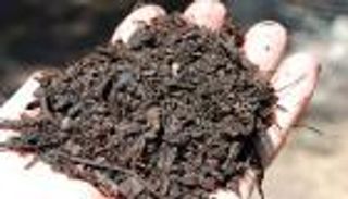 تطوير "طين عضوي" لزراعة محاصيل خالية من الآفات