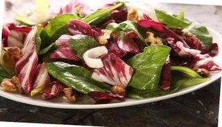 نبات الهندباء