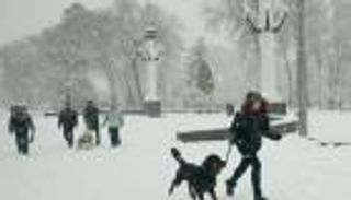 موجة الصقيع تقتل 40 أوكرانيا