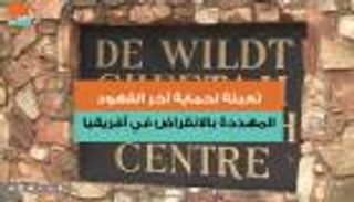 تعبئة لحماية آخر الفهود المهددة بالانقراض في إفريقيا