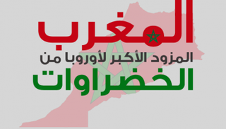 المغرب المزود الأكبر لأوروبا من الخضروات