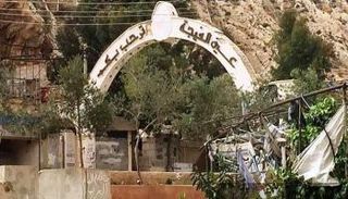 قرية عين الفيجة