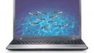 اكتشاف.. أسماك ثلاثية الأبعاد بديلة لفئران التجارب