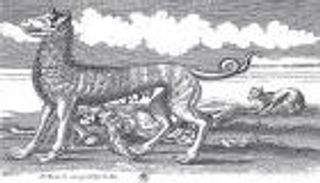 الذئاب تهدد ضواحي باريس مع موجة الصقيع