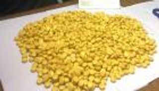 بالصور.. راكب يحاول تهريب مئات الأقراص المخدرة داخل "بطتين"