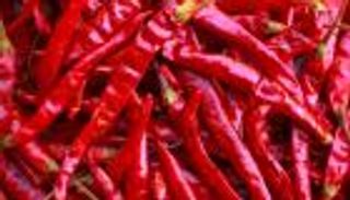 أخبار سعيدة لمحبي الفلفل الحار