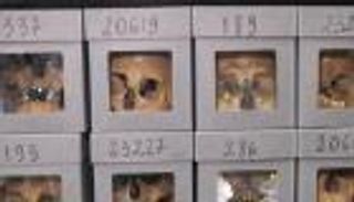 جماجم شهداء الجزائر.. ملف مؤجل لما بعد الرئاسة الفرنسية