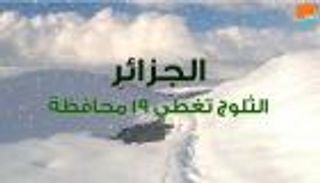 الجزائر.. الثلوج تجمد الحياة في 19 محافظة