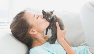 التكسوبلازما تسبب اضطراب ما قبل الدورة 