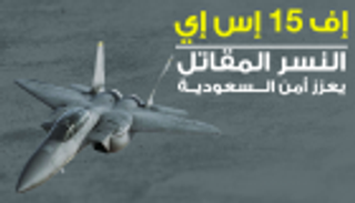 إنفوجراف.. "إف 15 إس إي" النسر المقاتل يعزز أمن السعودية 