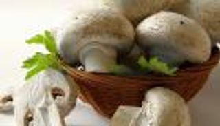 عيش الغراب يقي من الزهايمر