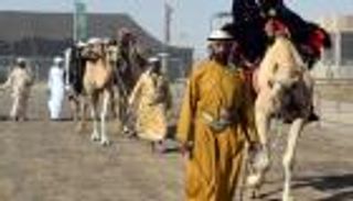 بالصور.. انطلاق مهرجان سلطان بن زايد التراثي في سويحان